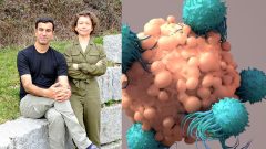 Vedia nahradiť lieky,