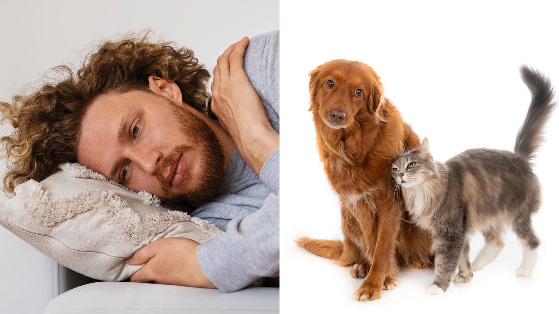 choroba, domáci miláčikovia