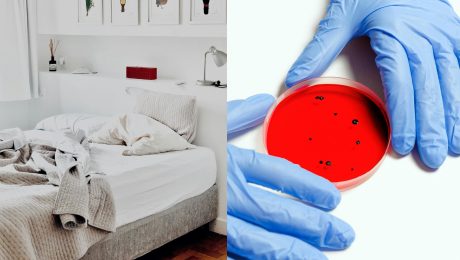 Tvoja posteľ ukrýva