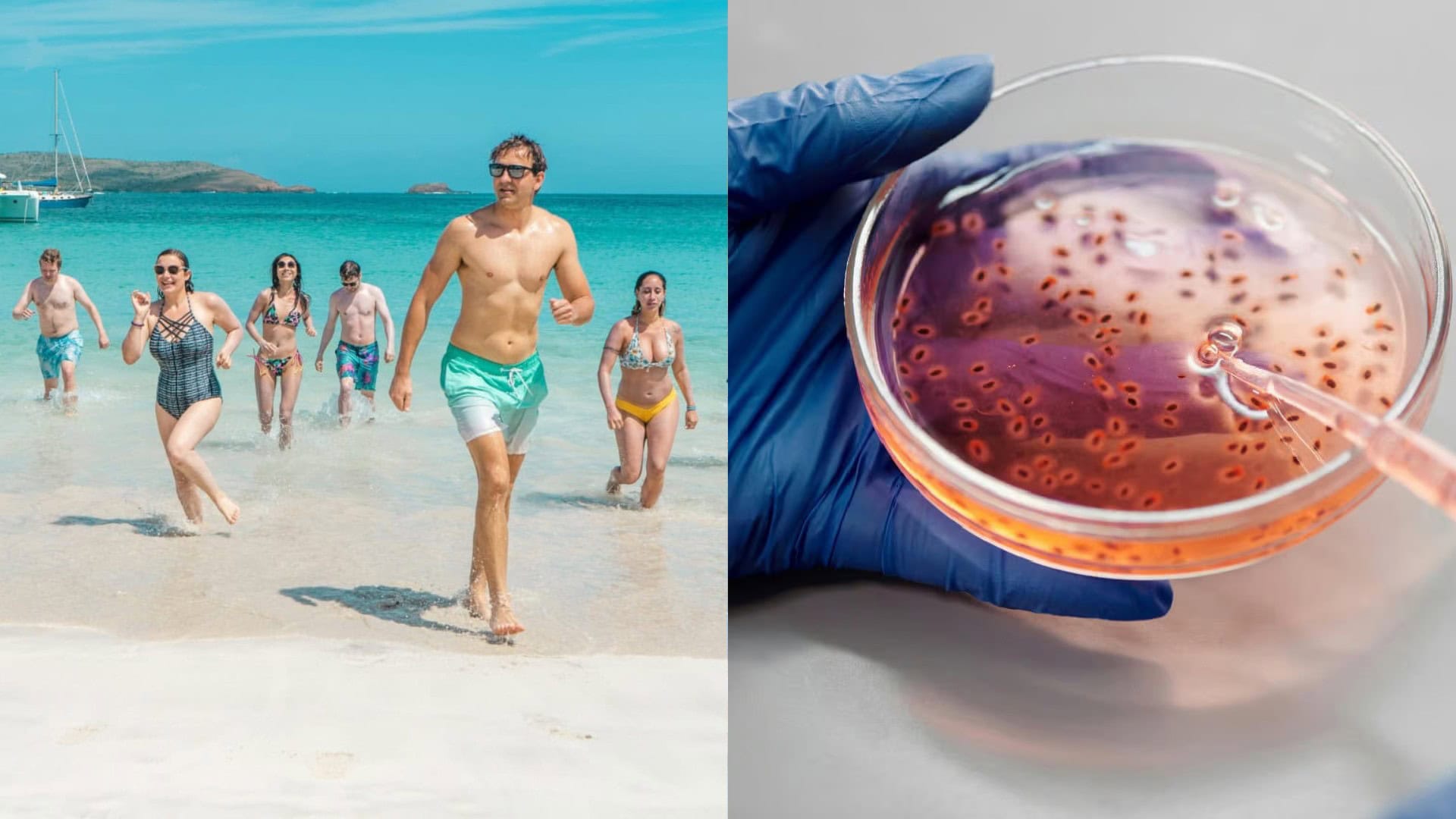 ľudia na pláži, baktéria