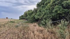 Veľké Rypňany, vražda, kosti, ľudské kosti