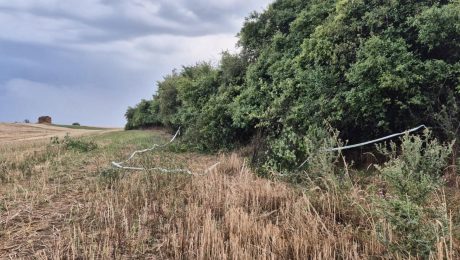 Veľké Rypňany, vražda, kosti, ľudské kosti