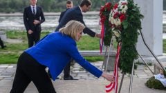 Beate Meinlová-Reisingerová, rakúsko