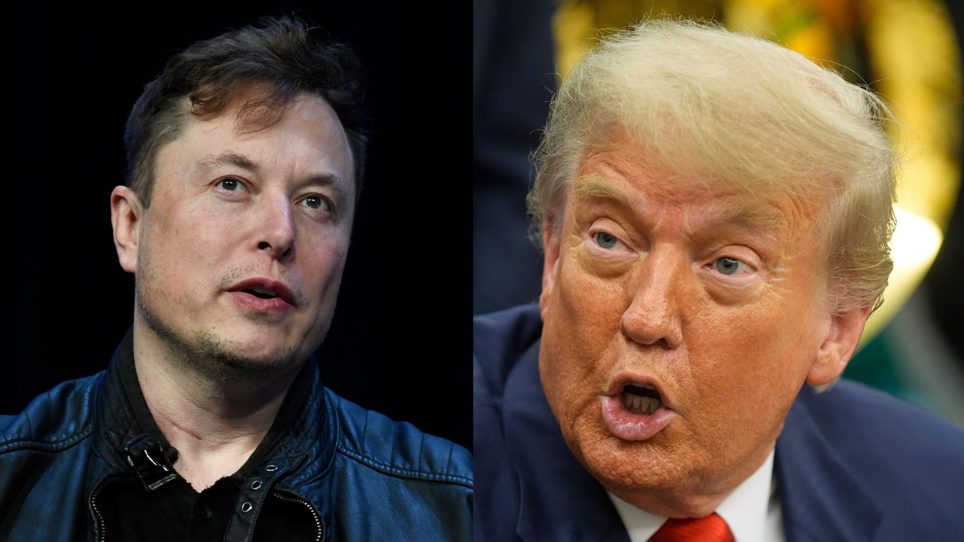 Trump a Musk