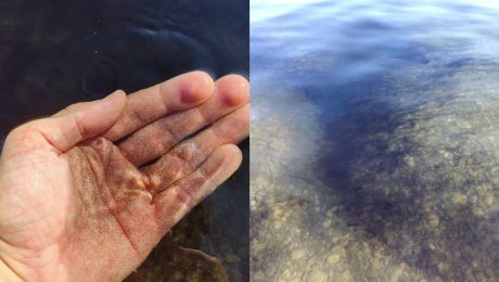 Čierne „machule“ v