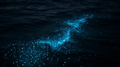 Satelitné snímky 20