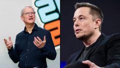 Tim Cook a Elon Musk