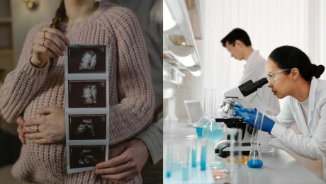 na snimke je babatko, vedci, embryo