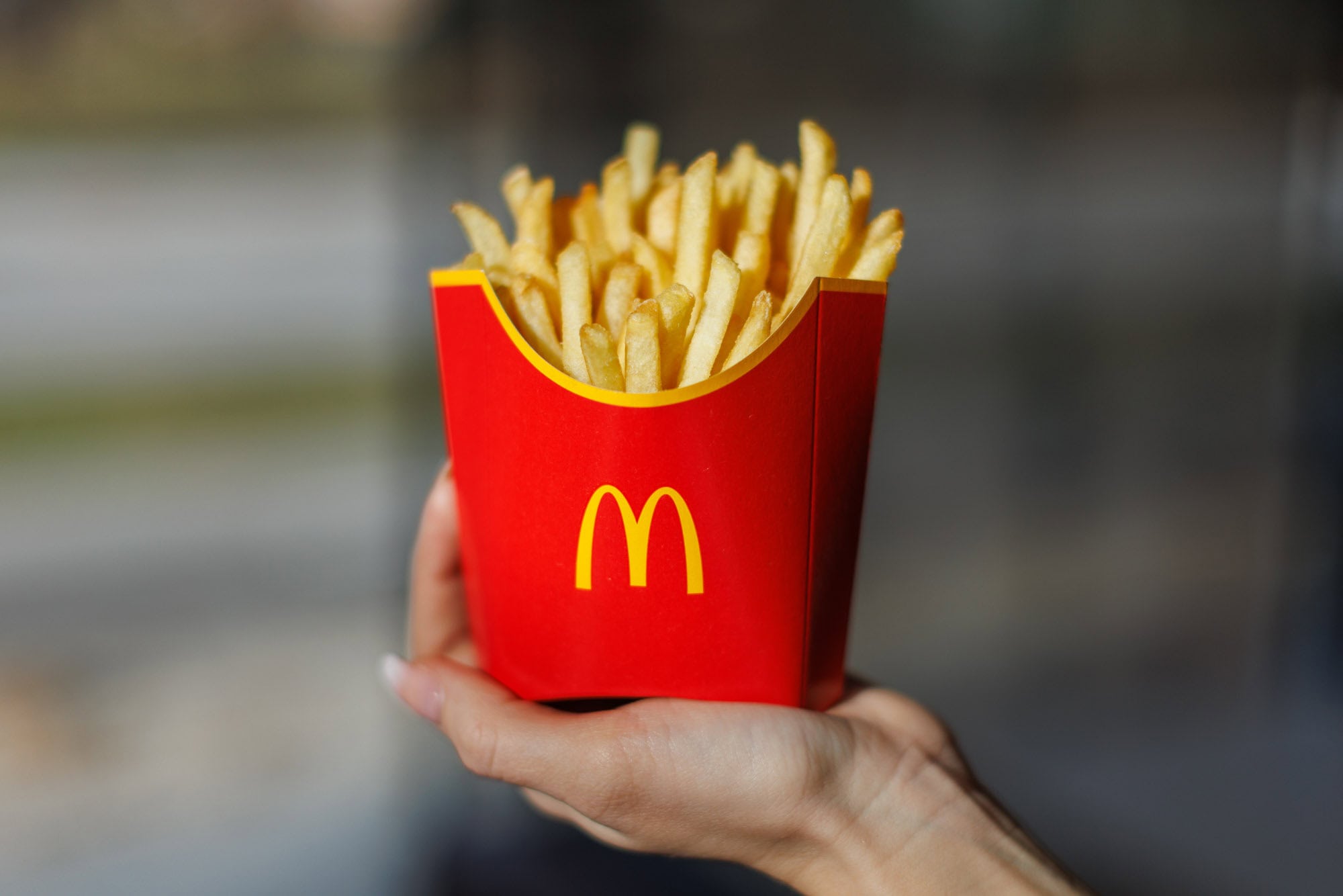 Hlavna foto článku