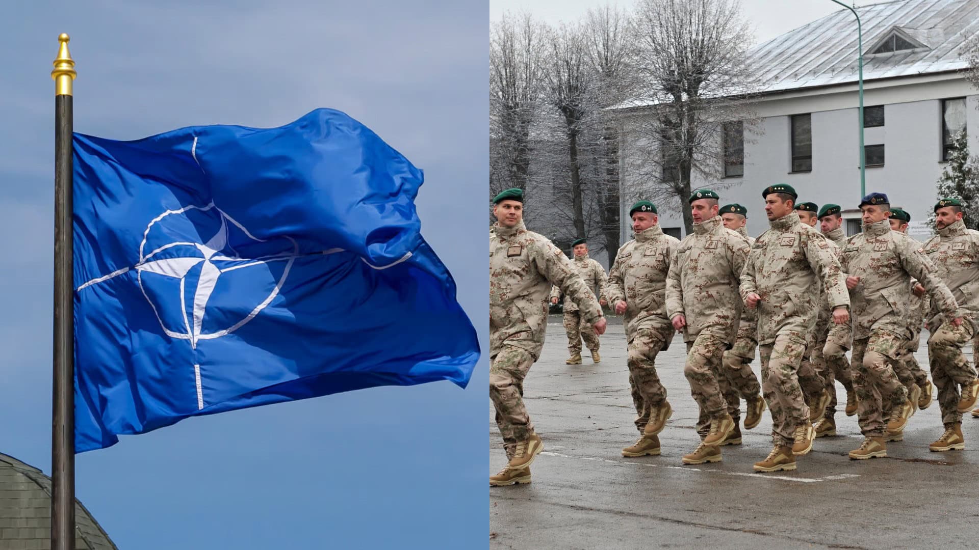 NATO, ozbrojené sily