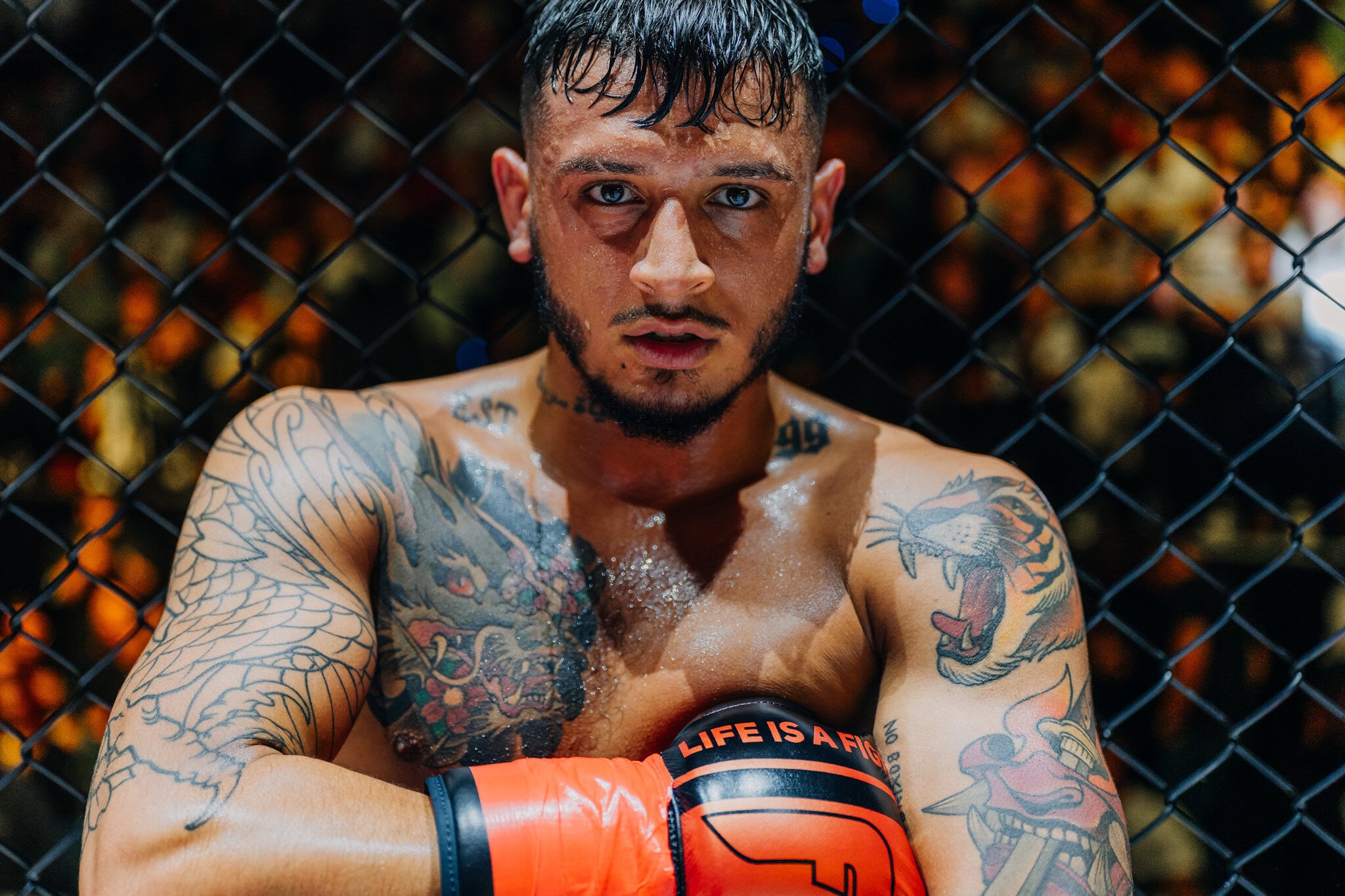 Photo 28.09.2024, 21 35 11