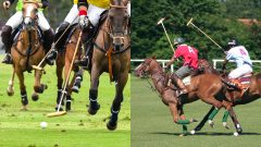 Slovensko zažije turnaj