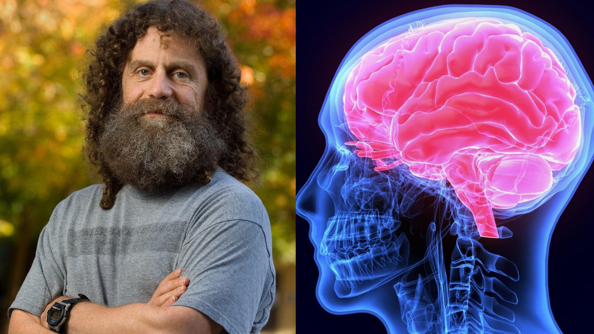 Robert Morris Sapolsky, neurovedec a primatológ zo Stanfordskej univerzity