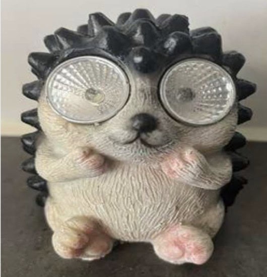 na snimke je solarna lampa z tedi