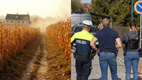 poľsko, polícia, pole