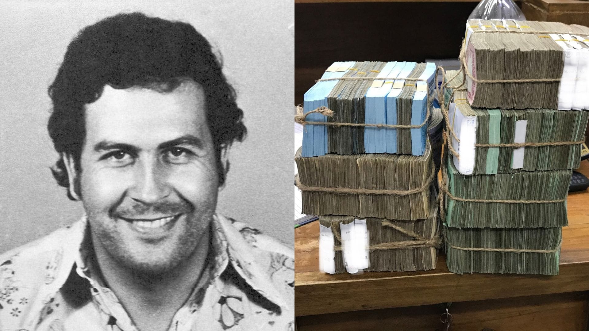 Farmár vyoral 600 miliónov dolárov v hotovosti, zrejme patria Escobarovi