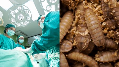 Vedci potvrdili prvý