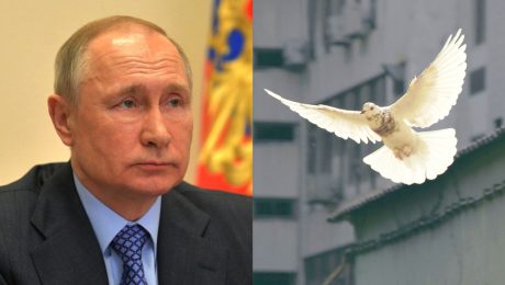 Vladimir Putin riskuje budúcnosť Ruska