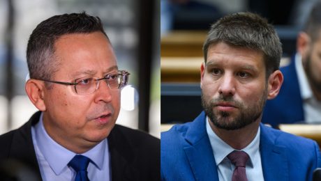 Ladislav Kamenický, Michal Šimečka