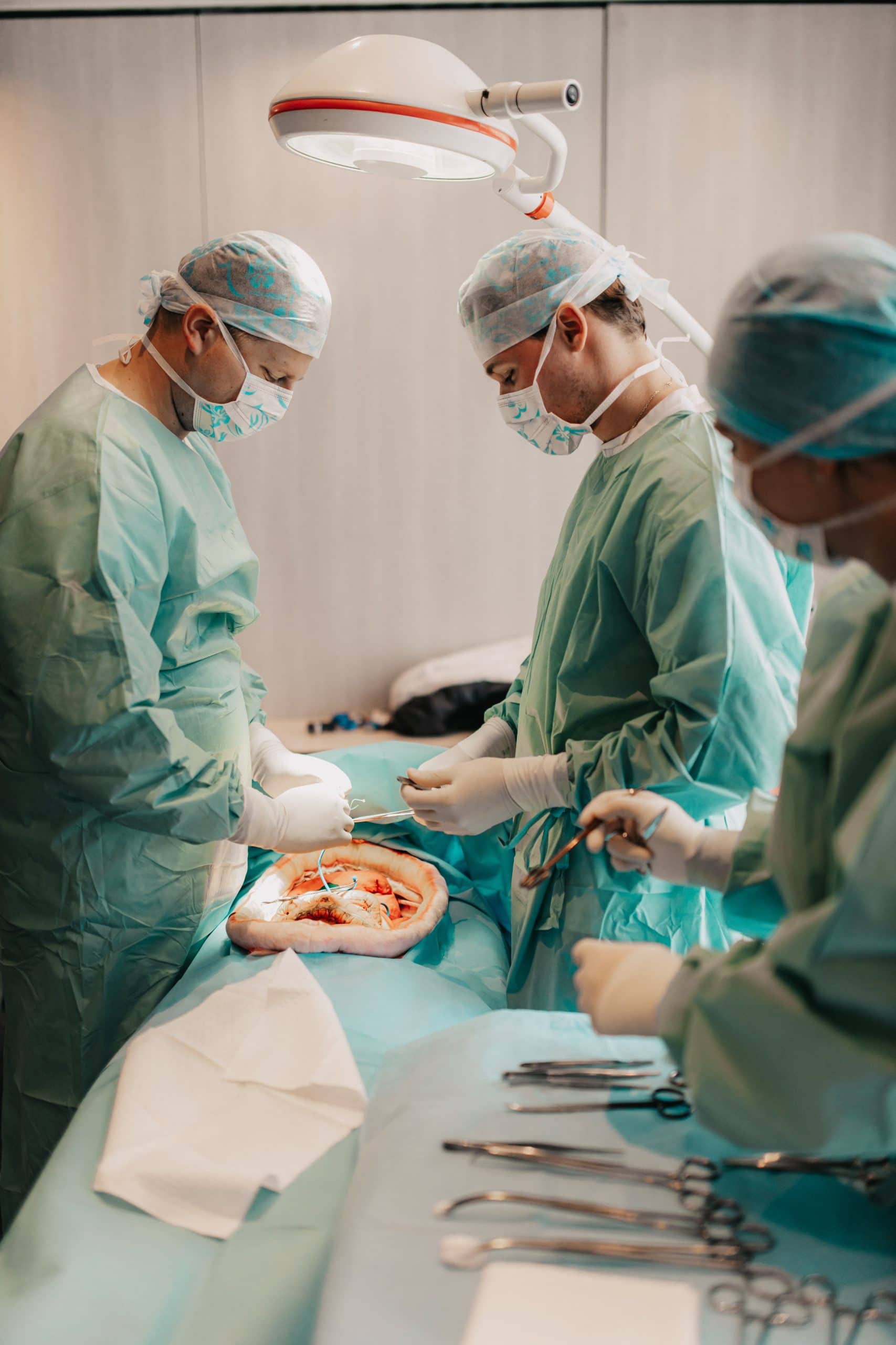 Kopie souboru 0A4A0756