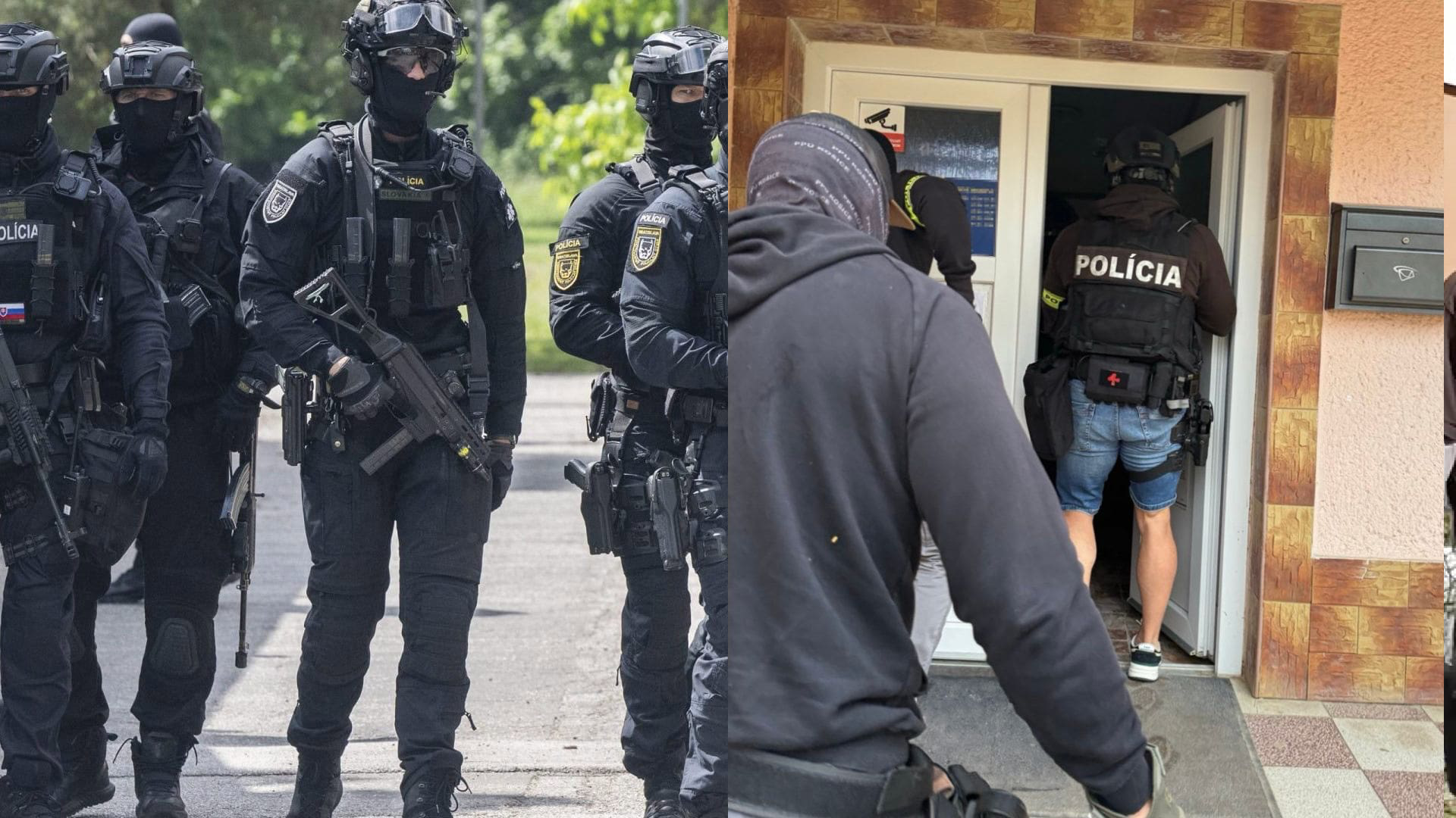 polícia, inšpekcia, zadržanie