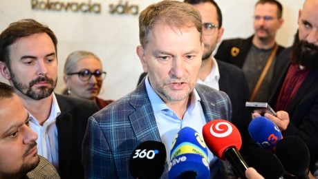 Igor Matovič, novela ústavy