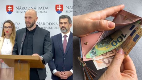 PS navrhuje „mikropodnikanie“: