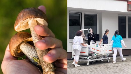 Štyroch hubárov na