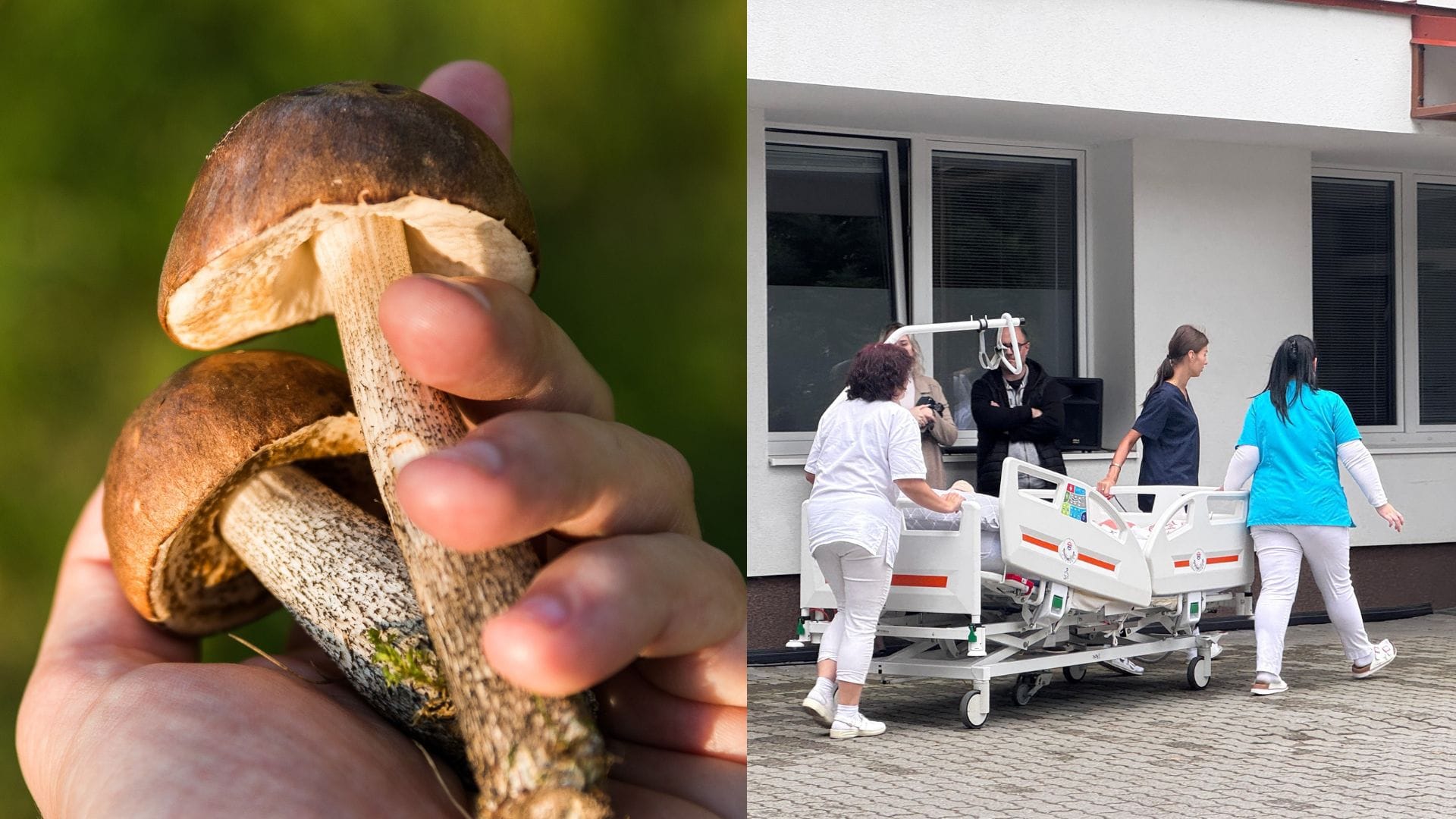 V Partizánskom sa otrávili štyria hubári: