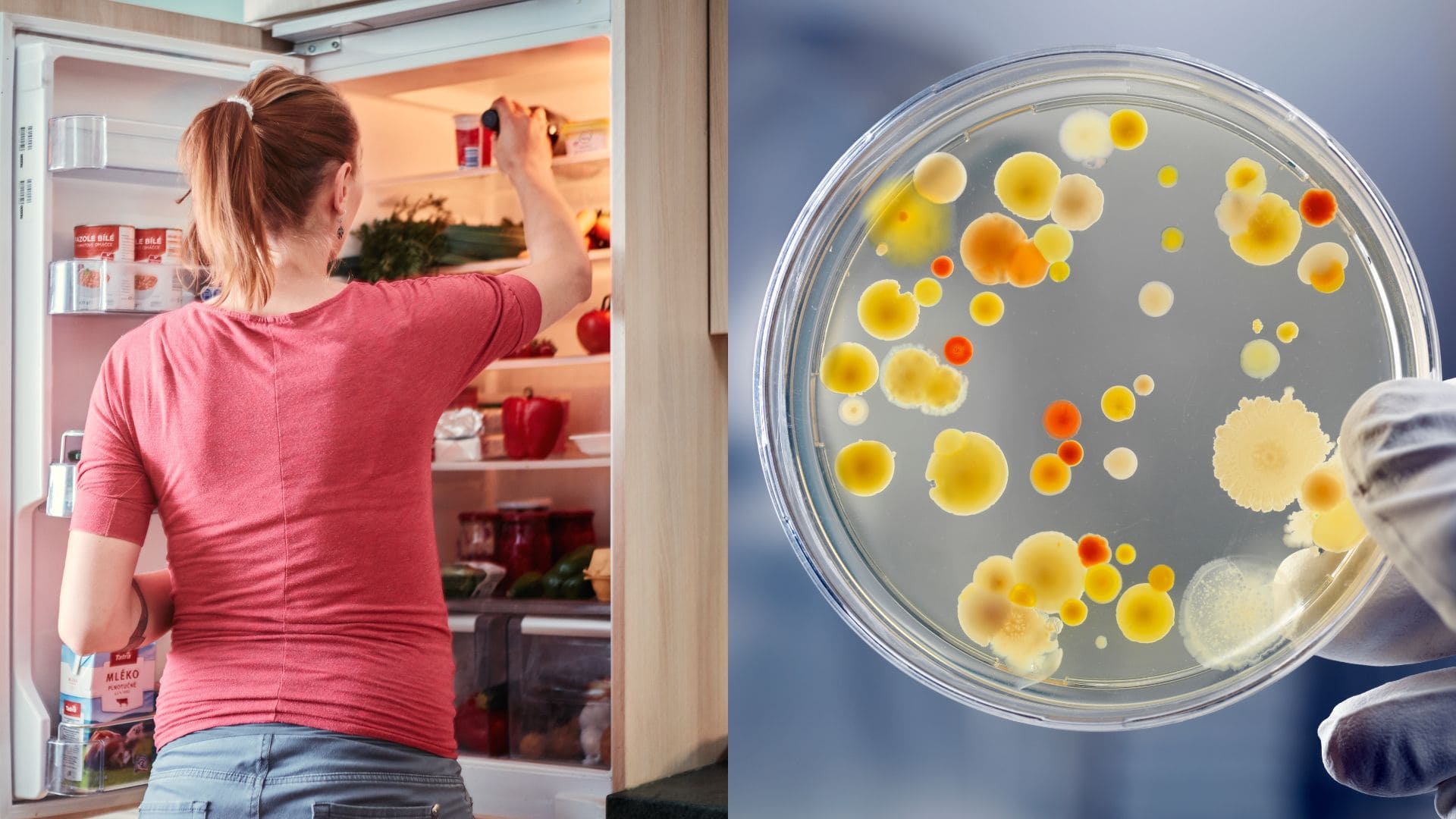 Päť potravín, ktoré nikdy nepatria do dverí chladničky.