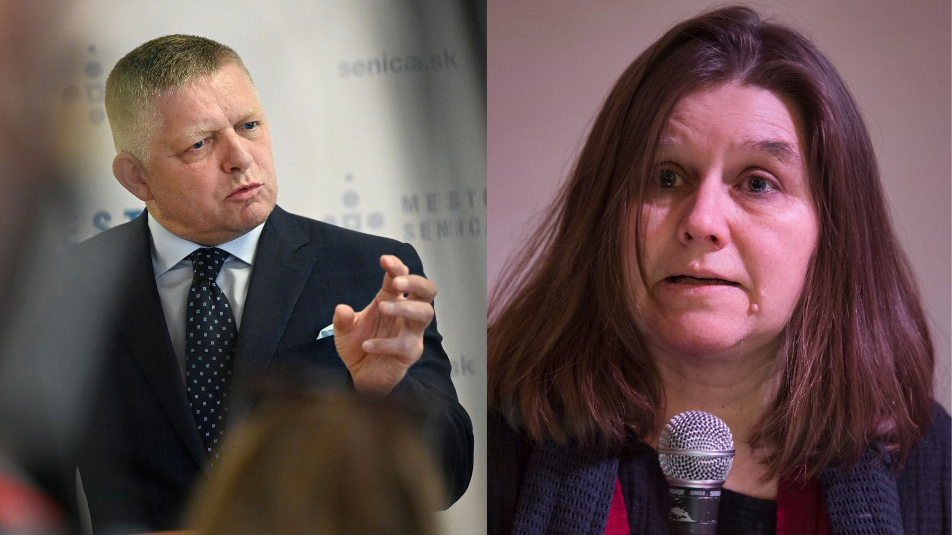 Koalícia žiada audit dotácií po spore okolo Projektu Fórum a Šimečkovej