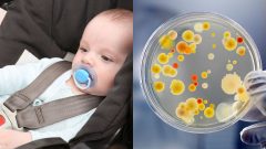 Známa sieť drogérií