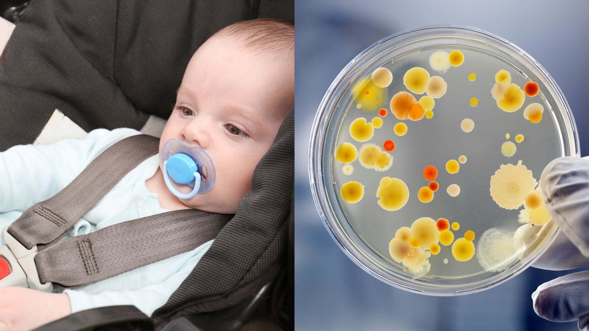 Rizikový detský cumeľ obsahuje škodlivú látku BPA