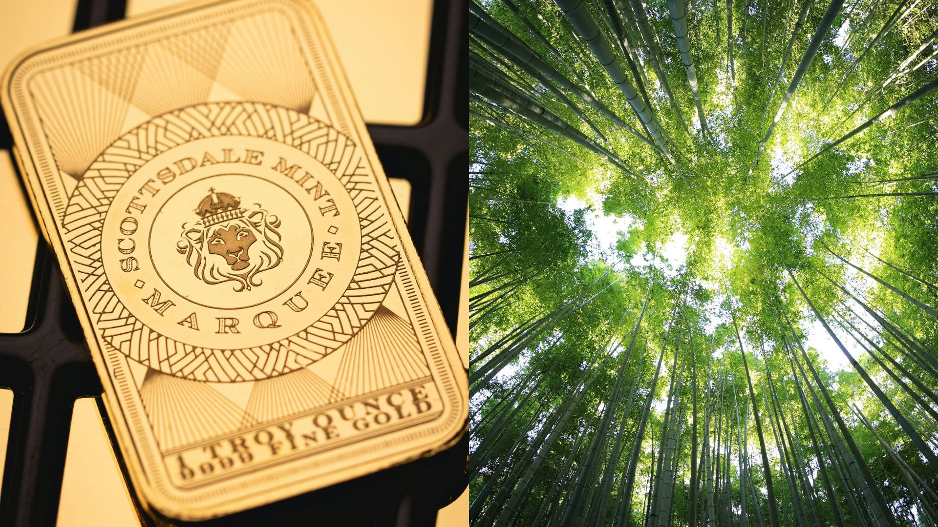 Cena zlata naďalej stúpa