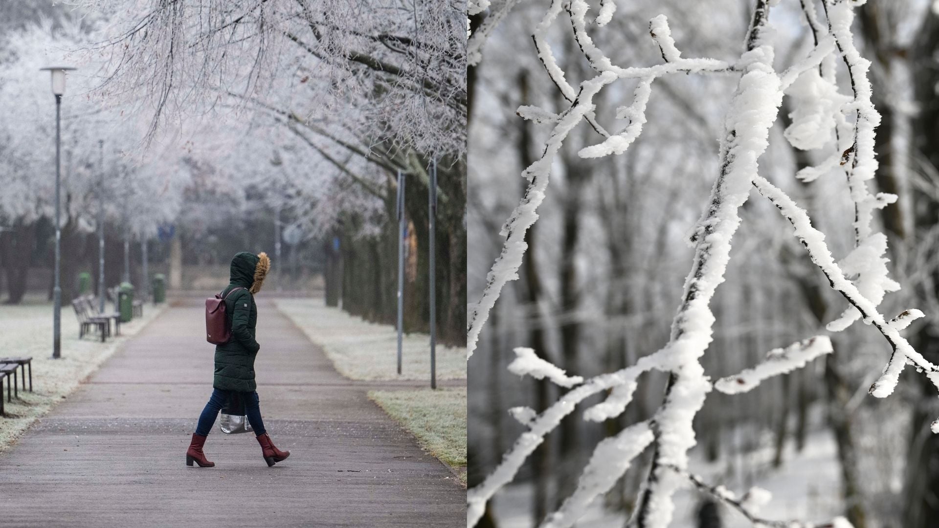 počasie, zima, sneh