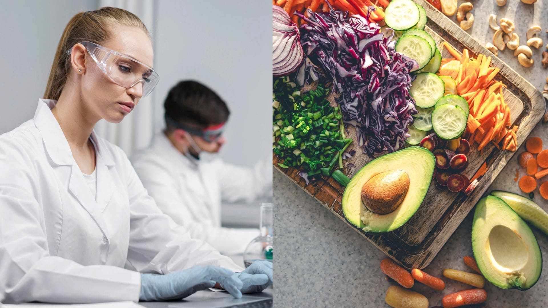 vedci, jedlo, rastlinná strava, potraviny