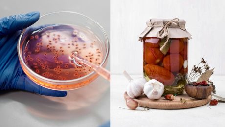 baktérie, pohár s ovocím, cesnak, med