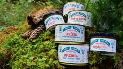 Chuť lesa prichádza