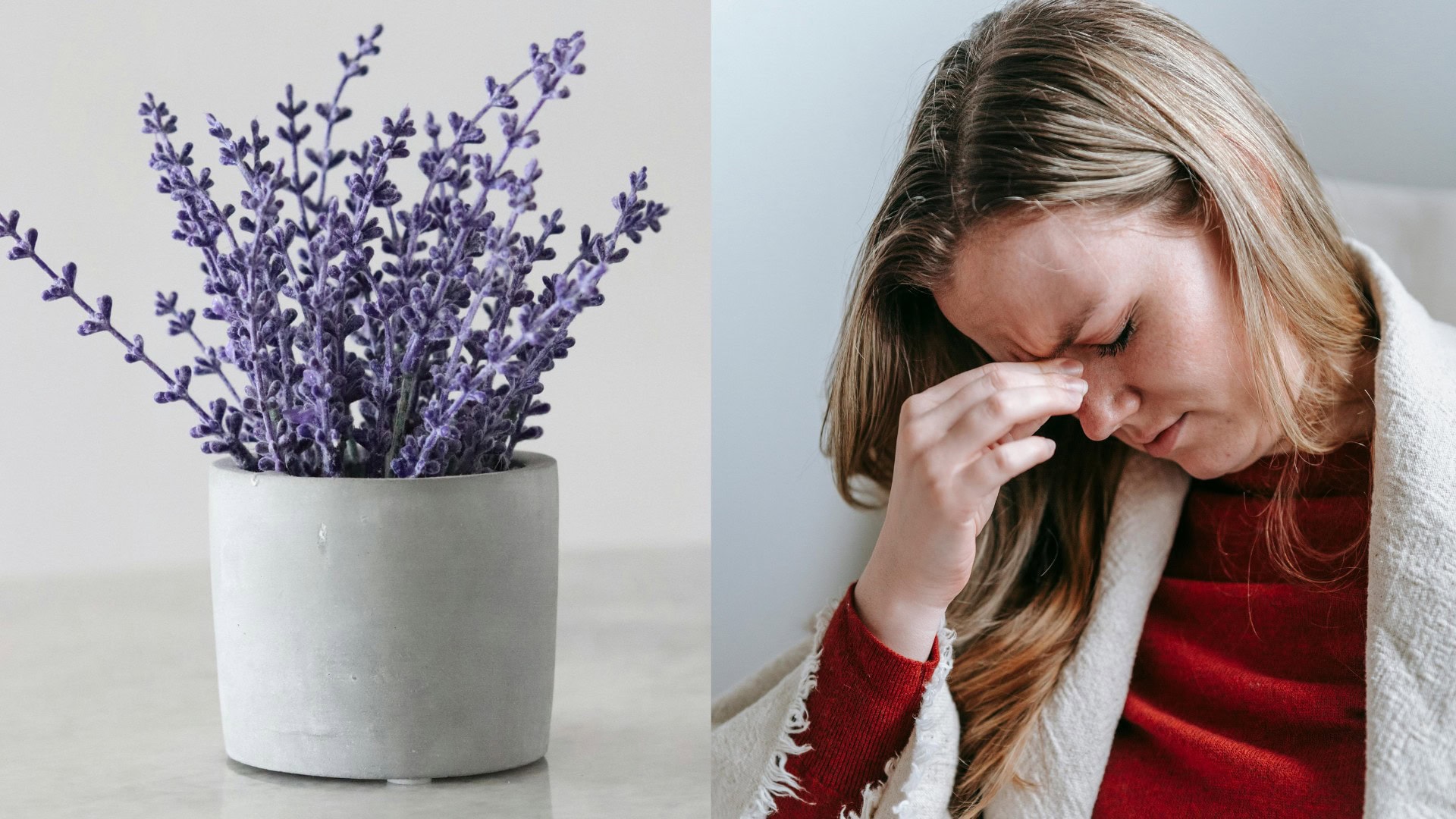 na snimke je migrena, levandula, bylinky