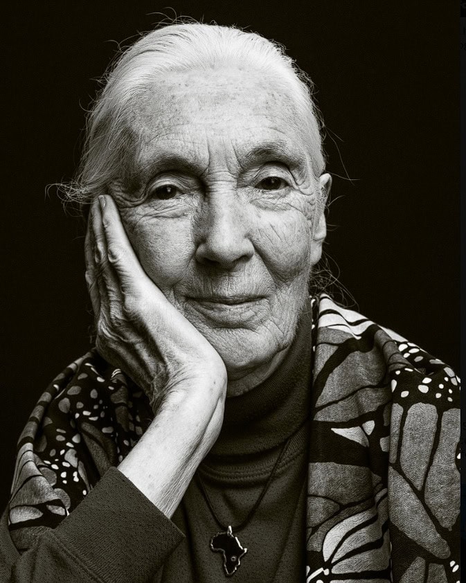 Jane Goodall
