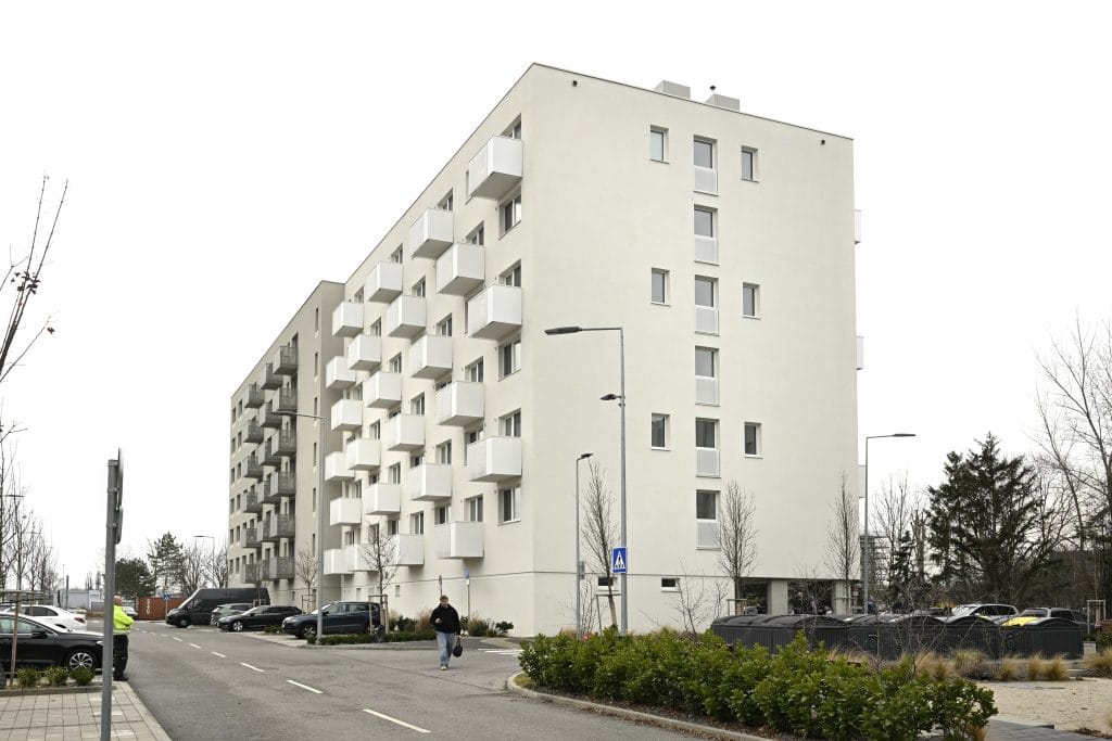 20250311_byty14114501