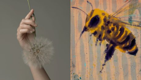 15 rokov Charitatívneho