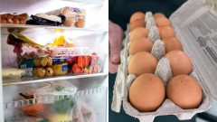 chladnička, vajíčka