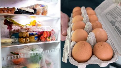 chladnička, vajíčka