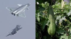 Používala ju už Kleopatra: Číňania z tekvice vynašli neprekonateľnú technológiu, vďaka ktorej lietadlá miznú z radarov