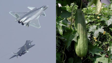 Používala ju už Kleopatra: Číňania z tekvice vynašli neprekonateľnú technológiu, vďaka ktorej lietadlá miznú z radarov