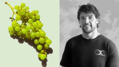 Schudol rekordných 104