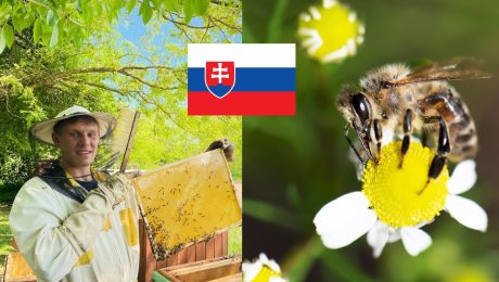 slovenský med