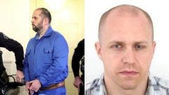 Ladislav Alföldi, Robert Nigut