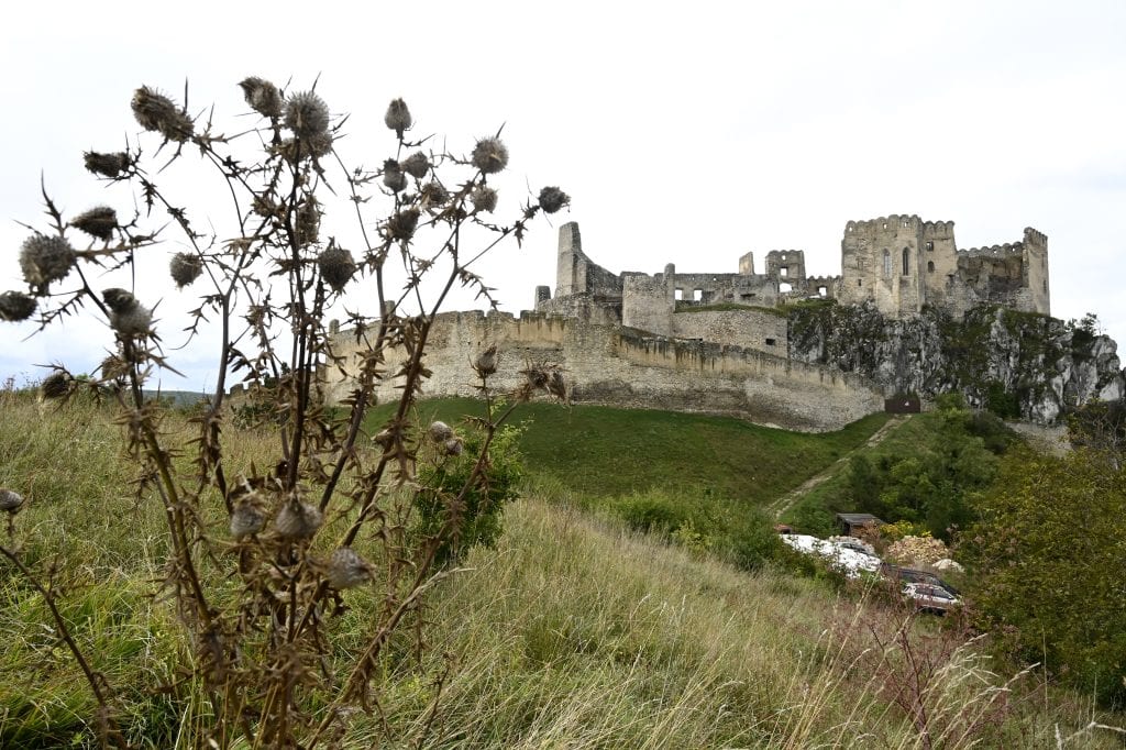 20200927_BEC01_RS12548729818